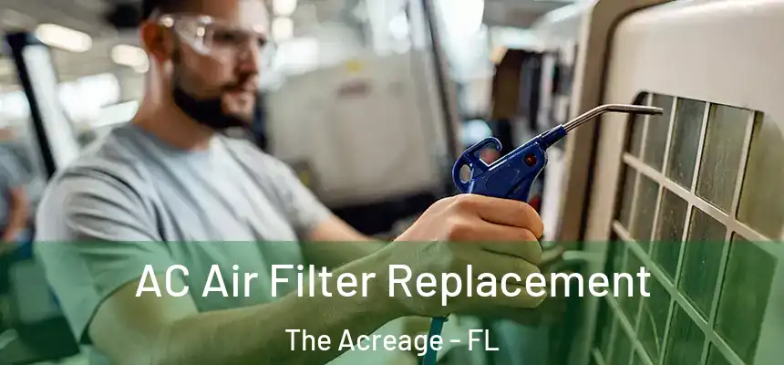 AC Air Filter Replacement The Acreage - FL