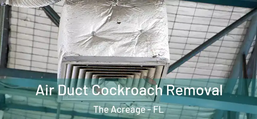 Air Duct Cockroach Removal The Acreage - FL