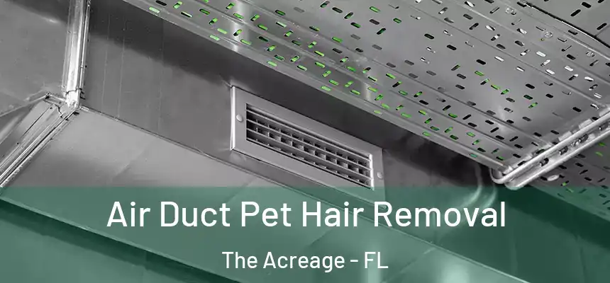  Air Duct Pet Hair Removal The Acreage - FL