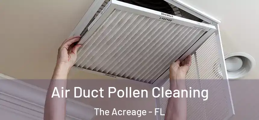  Air Duct Pollen Cleaning The Acreage - FL