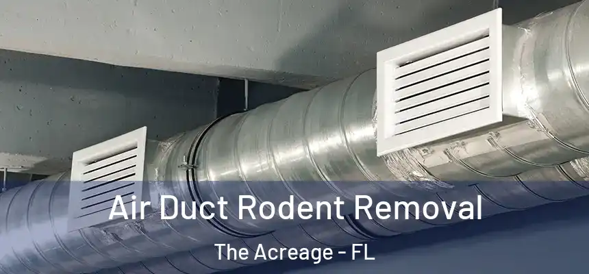  Air Duct Rodent Removal The Acreage - FL