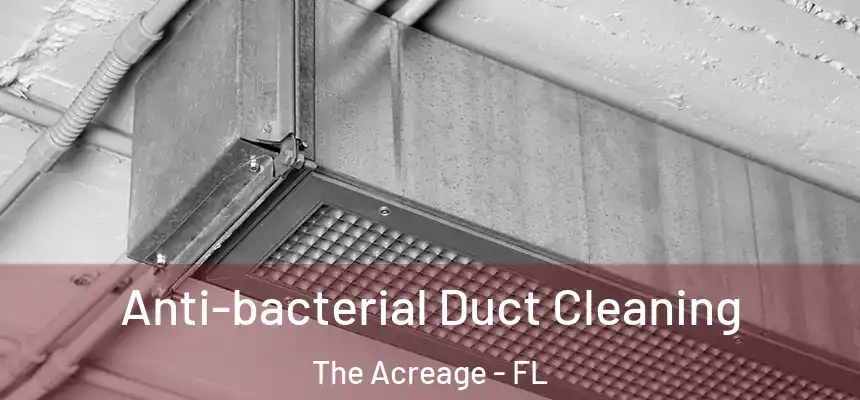  Anti-bacterial Duct Cleaning The Acreage - FL