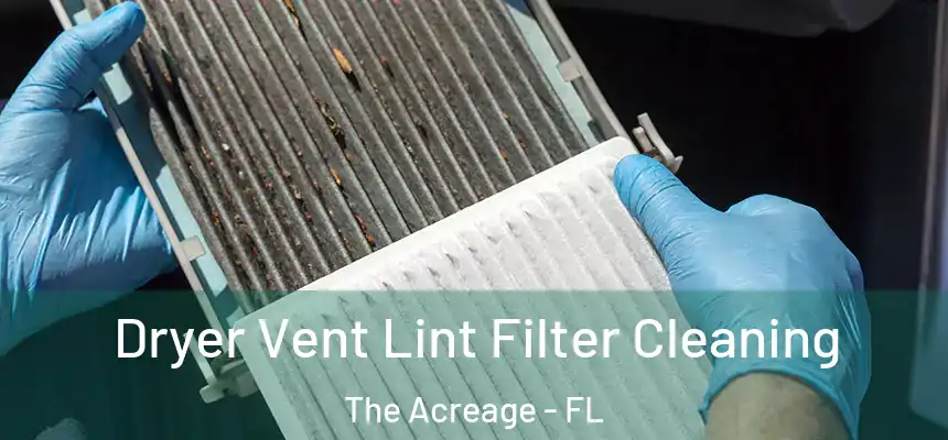 Dryer Vent Lint Filter Cleaning The Acreage - FL