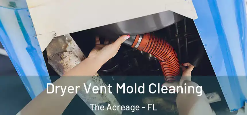  Dryer Vent Mold Cleaning The Acreage - FL