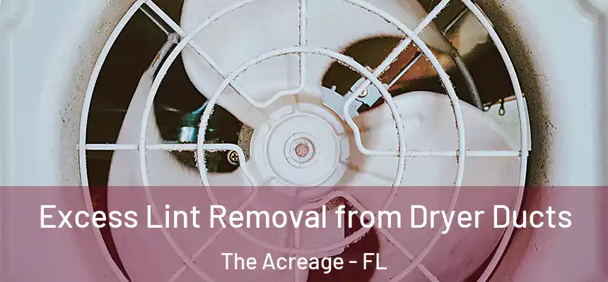 Excess Lint Removal from Dryer Ducts The Acreage - FL