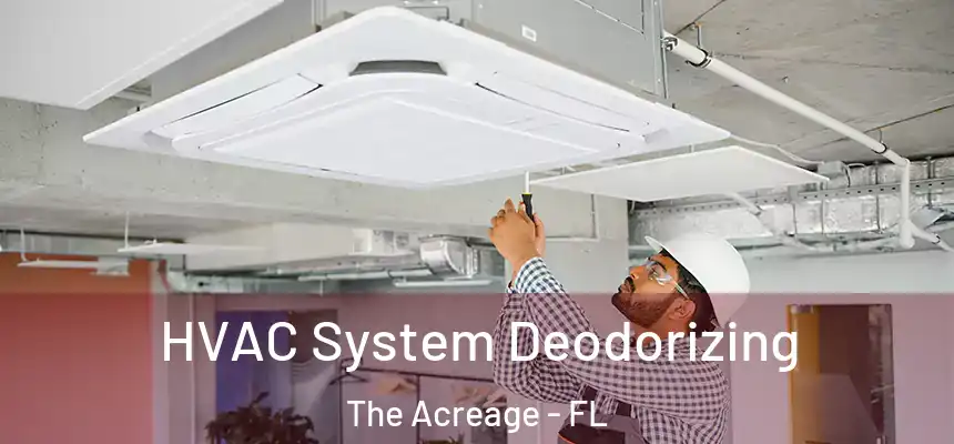 HVAC System Deodorizing The Acreage - FL
