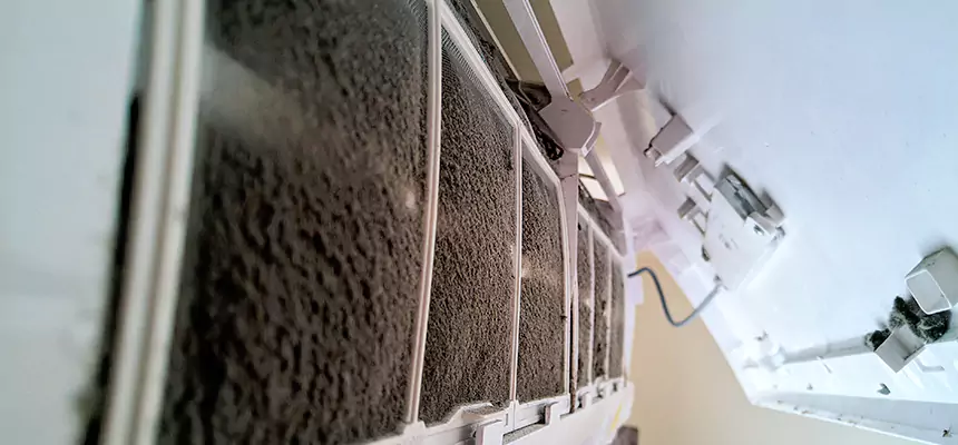 Preventive Air Duct Bacteria Removal in The Acreage