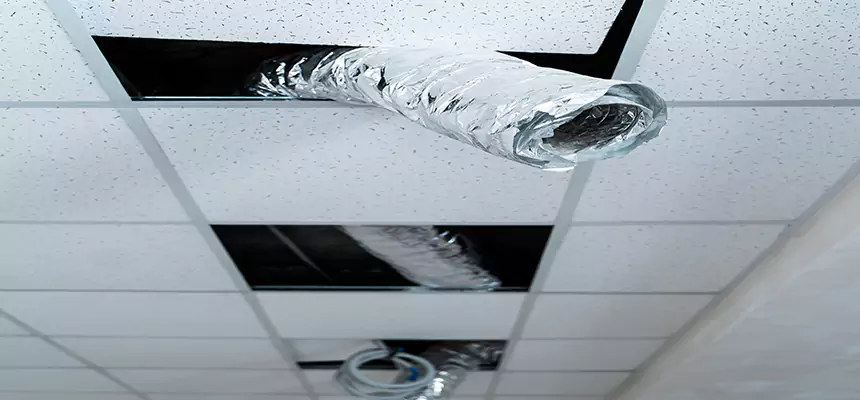 Affordable HVAC Sanitizing After Pest Removal in The Acreage