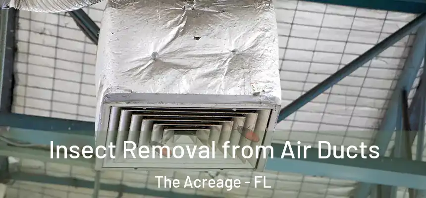  Insect Removal from Air Ducts The Acreage - FL