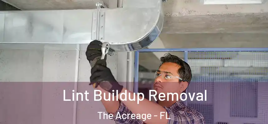 Lint Buildup Removal The Acreage - FL