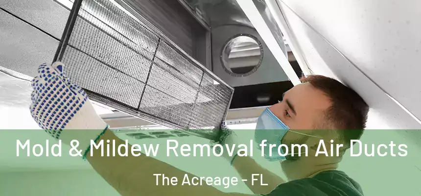 Mold & Mildew Removal from Air Ducts The Acreage - FL
