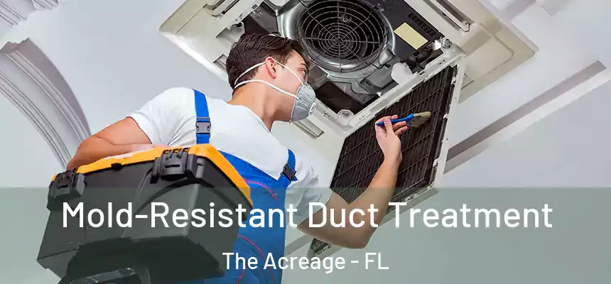  Mold-Resistant Duct Treatment The Acreage - FL
