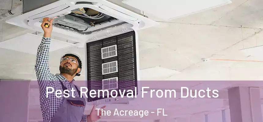  Pest Removal From Ducts The Acreage - FL