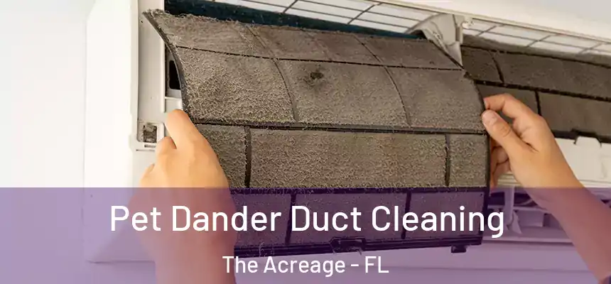 Pet Dander Duct Cleaning The Acreage - FL