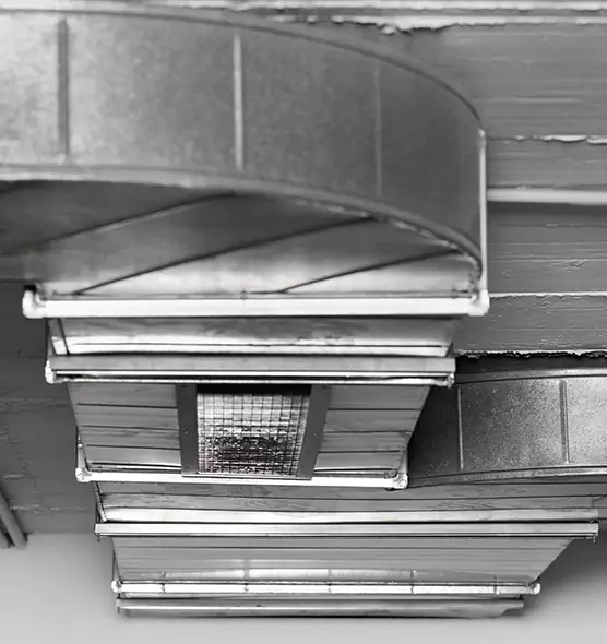 Professional Air Duct Pet Hair Removal in The Acreage, FL