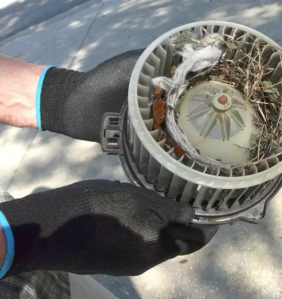 About Air Duct Rat Removal in The Acreage, FL