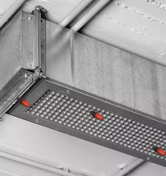 Affordable Insect Removal from Air Ducts in The Acreage, FL