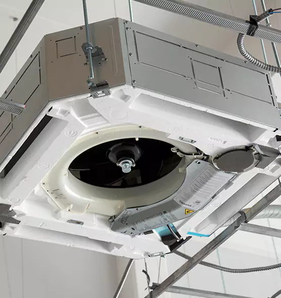 Professional Roof Vent Lint Removal The Acreage, FL