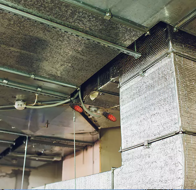 Why Homeowners & Businesses Trust Us in The Acreage, FL?