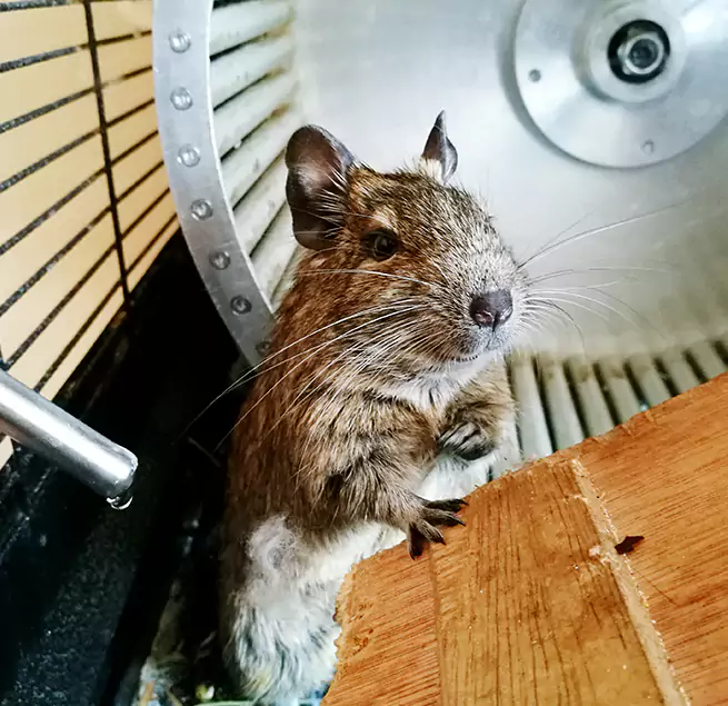 Why Homeowners & Businesses Trust Us The Acreage, FL?