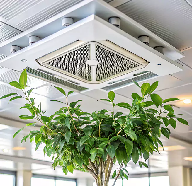 Why Homeowners & Businesses Trust Us in The Acreage, FL?