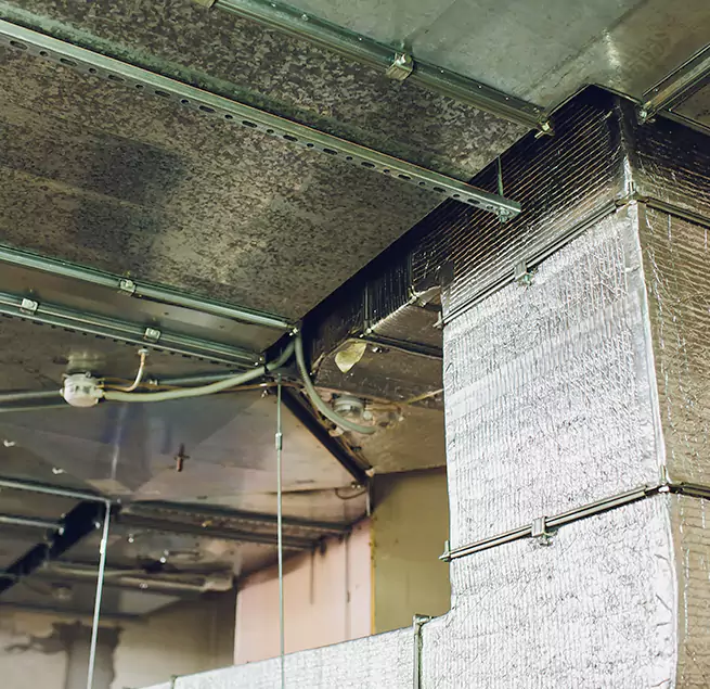 Why Homeowners & Businesses Trust Us in The Acreage, FL?